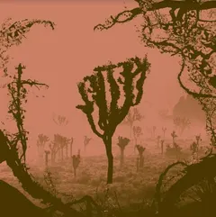 Kettel My Dogan (2LP)
