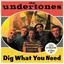 The Undertones Dig What You Need (CD)