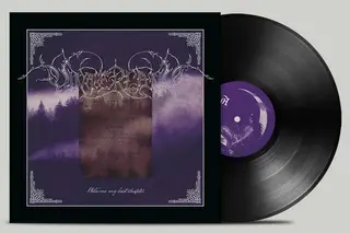 Vinterland Welcome My Last Chapter (LP)