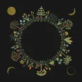 Laura Stevenson Wheel (LP)