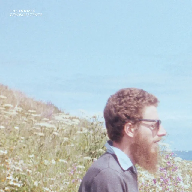 The Doozer Convalescence (LP) 