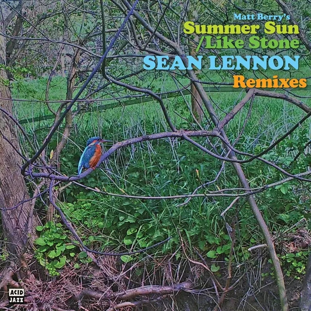 Matt Berry Summer Sun (Sean Ono Lennon Remix) (12") 