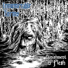 Innumerable Forms Punishment In Flesh (LP)