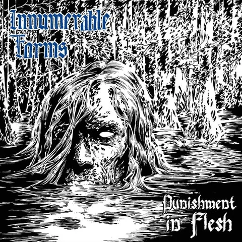Innumerable Forms Punishment In Flesh (LP) 