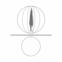 Stephen O'Malley Spheres Collapser (LP)