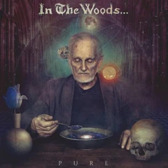 In the Woods Pure (2LP)