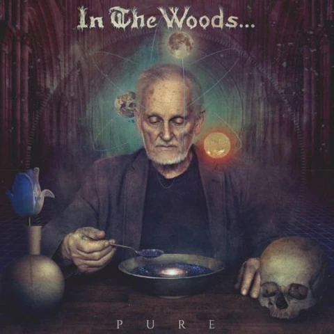 In the Woods Pure (2LP) 