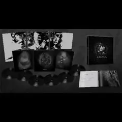 In The Woods Heart Of Ages (6LP)