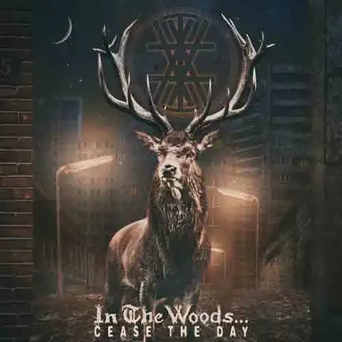 In The Woods Cease The Day (2LP) 