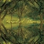 Band Of Horses Everything All The Time: 20th… (2LP)