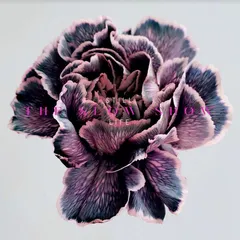 Still Life Slow Show (LP)