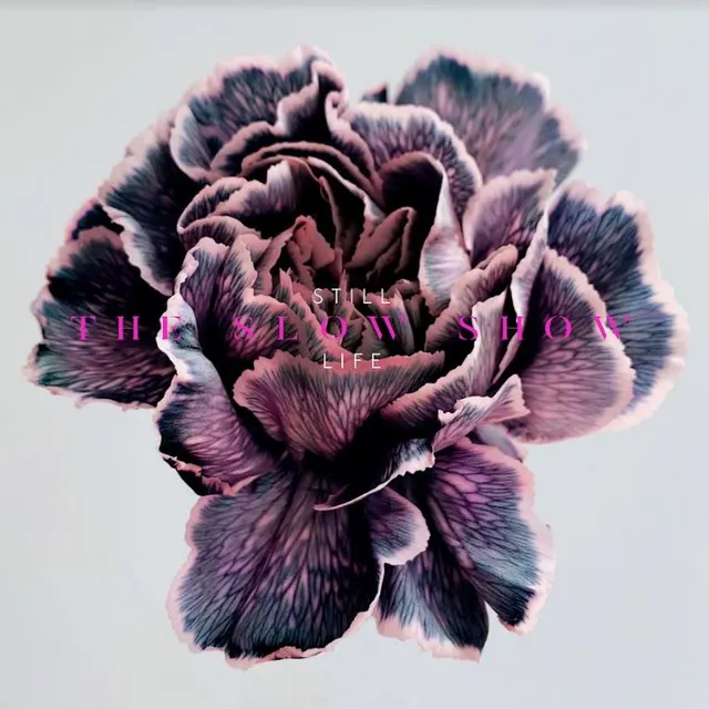 Still Life Slow Show (LP) 