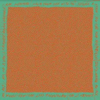 USA Nails No Pleasure - LTD (LP)