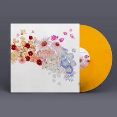 Gretchen Parlato Flor - LTD (LP)