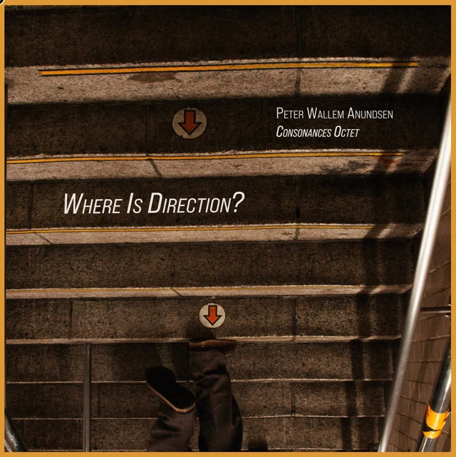 Peter Wallem Anundsen Where Is Direction? (2LP) 
