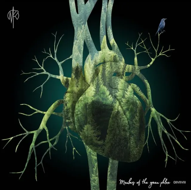 Martin Rubashov Members Of The Green Phlox (LP) 